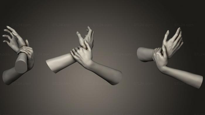 Анатомия скелеты и черепа (Женские Руки 15, ANTM_0484) 3D модель для ЧПУ станка